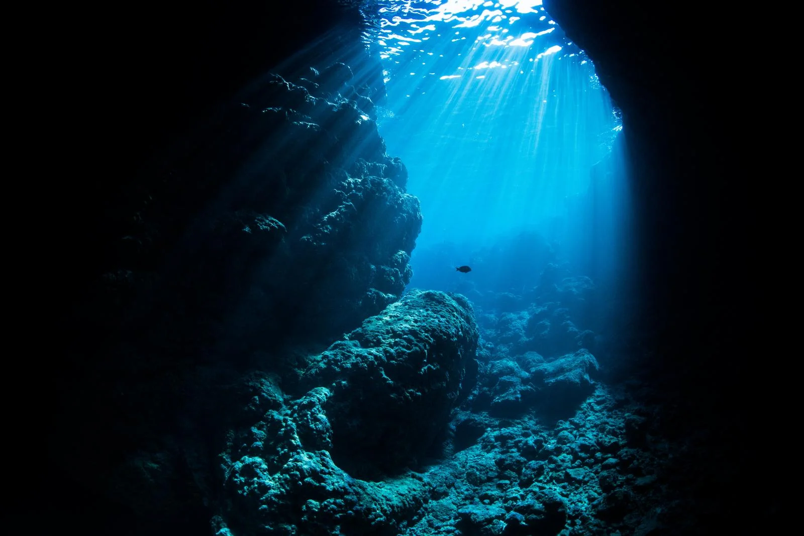 okinawa003.webp