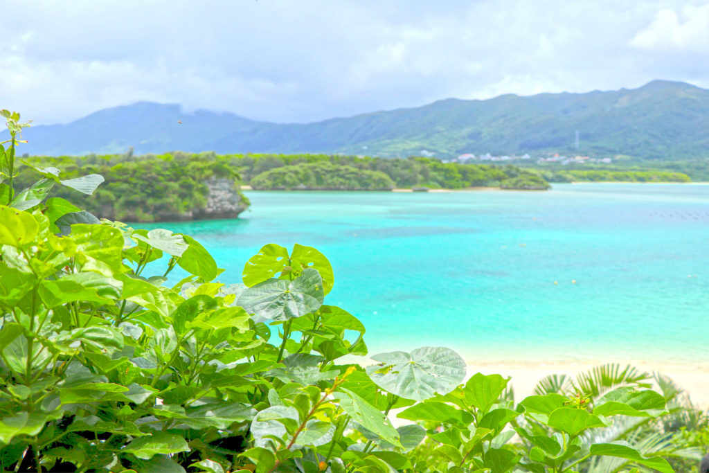 okinawa004.jpg